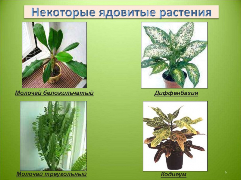 5 причин плохого самочувствия, в которых виновата ваша квартира