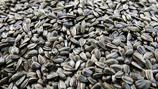 7 продуктов, которые содержат коллаген