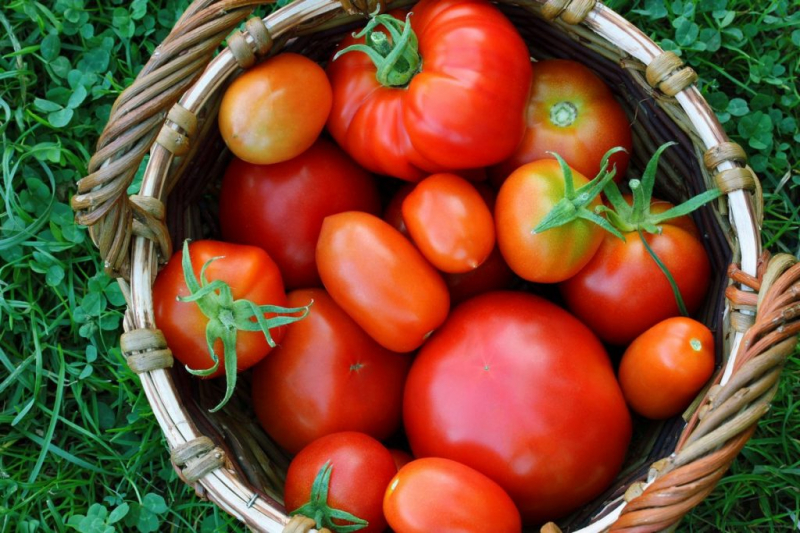 8 продуктов, которые не так полезны, как о них принято думать