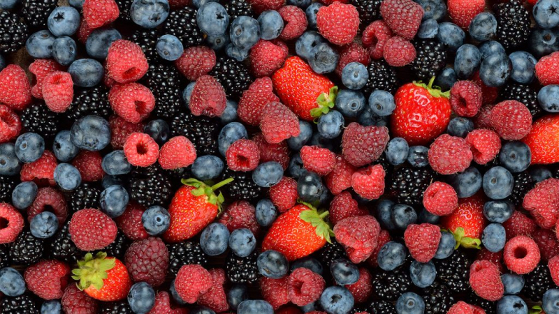 Как не выбрасывать продукты: 7 способов продлить срок годности