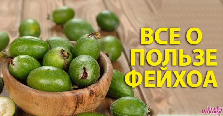 Кладезь полезных витаминов: почему всем нужно есть фейхоа?