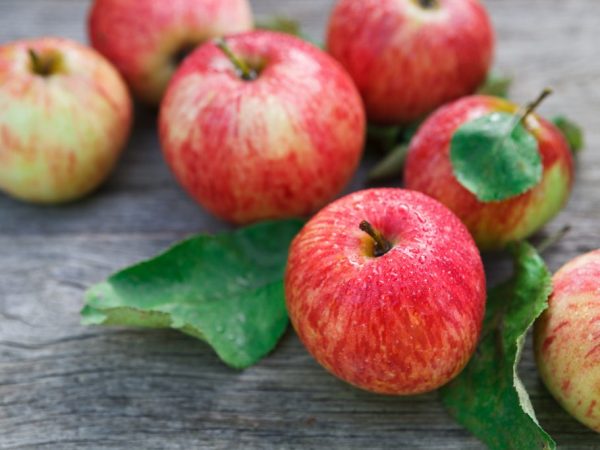 Секреты привычных продуктов – 7 продуктов с секретным действием