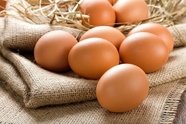 Топ-5 продуктов с повышенным содержанием белка