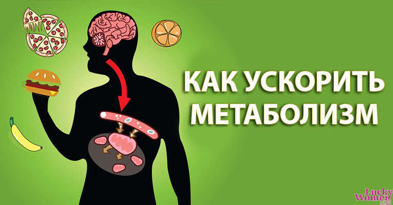 Волшебный метаболизм: что нужно знать об обмене веществ?