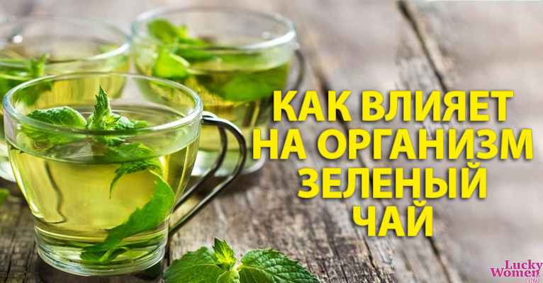 Зеленый чай: все, что нужно знать об этом напитке