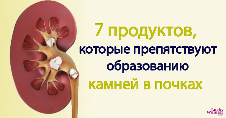 7 средств от камней в почках: домашние способы очищения почек