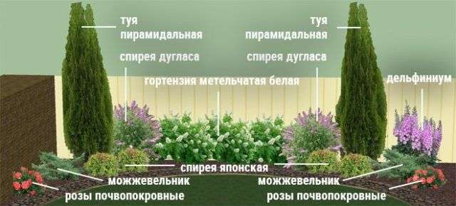 Клумбы непрерывного цветения &ndash; схемы с описанием цветов