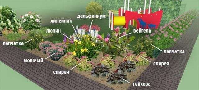 Клумбы непрерывного цветения &ndash; схемы с описанием цветов
