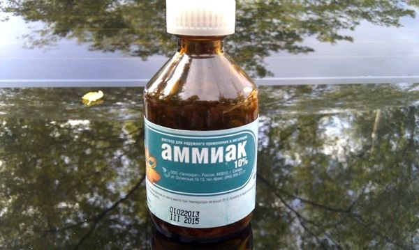 Нашатырный спирт против муравьев