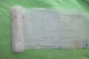 Выращивания рассады безземельным способом